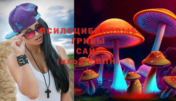 герыч Алзамай